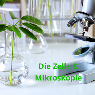 Zelle und Mikroskopie